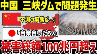 【ゆっくり解説】白鶴灘ダムがの一部が崩壊！中国ダム工事の杜撰さが明るみに！黒部ダムの206倍速の突貫工事で数数百兆円規模の被害の可能性も！