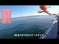 サークルメンバーと外房勝浦港の釣丸でイサキ釣りに挑戦～爆釣で早上がり！！【外房勝浦沖のイサキ釣り】