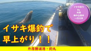 サークルメンバーと外房勝浦港の釣丸でイサキ釣りに挑戦～爆釣で早上がり！！【外房勝浦沖のイサキ釣り】