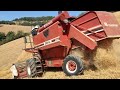 Trebbiatura avena 2022 con Fiatagri 3550AL (4k )#harvest #sound