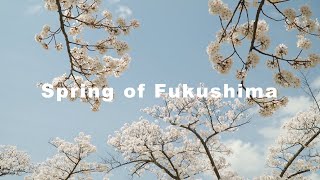 Spring of Fukushima 2021,Tohoku, Japan, 4K 福島の春