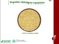 chickpea varieties