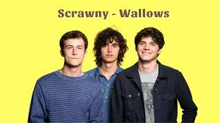 Vietsub | Scrawny - Wallows | Lyrics Video