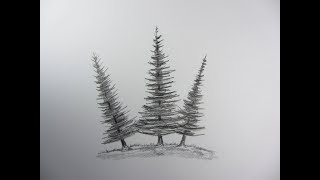 How To Draw Pine Tree | Very Simple