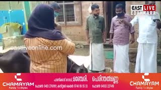 DYFI നടത്തുന്ന റീസൈക്കിള്‍ കേരള കാമ്പയിനിലേക്ക് പശുവിനെ നല്‍കി ക്ഷീരകര്‍ഷകന്റെ മാതൃക