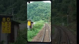 カーブも飛ばしていく高山本線坂祝～鵜沼間 #Shorts #JR #JR東海 #train #高山本線 #鉄道 #前面展望 #岐阜