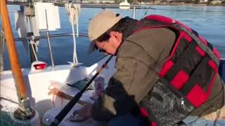 Tim catches a fish in sturgeon derby 2018