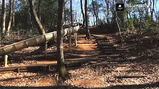 都立公園としては最大級の広さを誇るアスレチックのある公園「野山北・六道山公園」┃東京都武蔵村山市