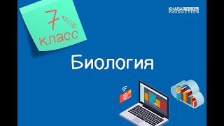 Биология. 7 класс. Значение транспорта питательных веществ в живых организмах /17.11.2020/