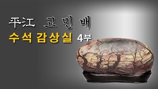 [수석의미 ssmtv].평강 고민배 수석감상실(4부).수석전시회 소식.수석 (水石. 壽石.奇石.suseok.stone). 곽창근(010-5446-4832)