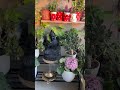 small balcony decor idea shortvideo youtubeshorts explore trending