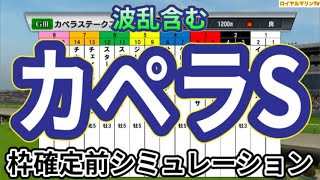 【カペラステークス2024】ウイポ枠確定前シミュレーション チカッパ インビンシブルパパ サンライズアムール インユアパレス ガビーズシスター #3125