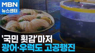 '국민 횟감' 광어·우럭 마저…기후 변화에 가격도 고공행진 [MBN 뉴스센터]