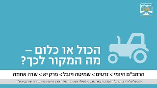 הרמב\