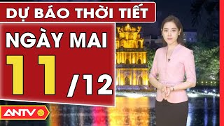 Thời tiết ngày mai 11/12: Hà Nội mưa rét kéo dài, TP. HCM nắng nhẹ | ANTV