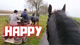 A lazy busy day | happy Queen👑Uniek & Glendy | Friesian Horses