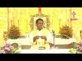 திருப்பலி ஒரு கொண்டாட்டம் holy mass fr.arulmani