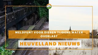 Heuvelland Nieuws: meldpunt voor dieren in nood tijdens wateroverlast