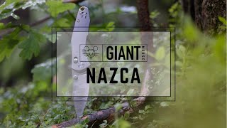 GiantMouse ACE NAZCA