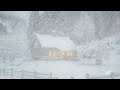 piercing blizzard sounds for sleeping u0026 wintry snowstorm gusts┇ferocious icy winds┇loud snow squalls