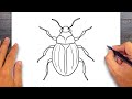 How to draw Antenna Beetle - Insect Drawing