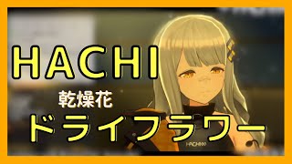 【HACHI】乾燥花ドライフラワー（優里）【中日歌詞】歌回精華／歌枠切り抜き