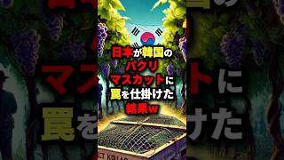 日本がK国のパクリマスカットに罠を仕掛けた結果w #海外の反応