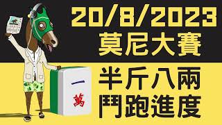 【賽馬貼士】【馬師父】法國莫尼大賽 (8月20日) I S1 R4 兩歲賽事開咩都得！大家半斤八兩 鬥跑進度！