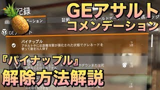 ディビジョン GEアサルト『パイナップル』コメンデ―ション解除方法解説 DIVISION 1.8