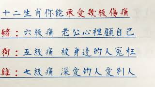 老人言：十二生肖你能承受幾級傷痛 #硬笔书法 #手写 #中国书法 #中国語 #书法 #老人言 #中國書法 #老人 #傳統文化 #生肖運勢 #生肖 #十二生肖