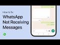 How To Fix WhatsApp Not Receiving Messages on iOS and Android