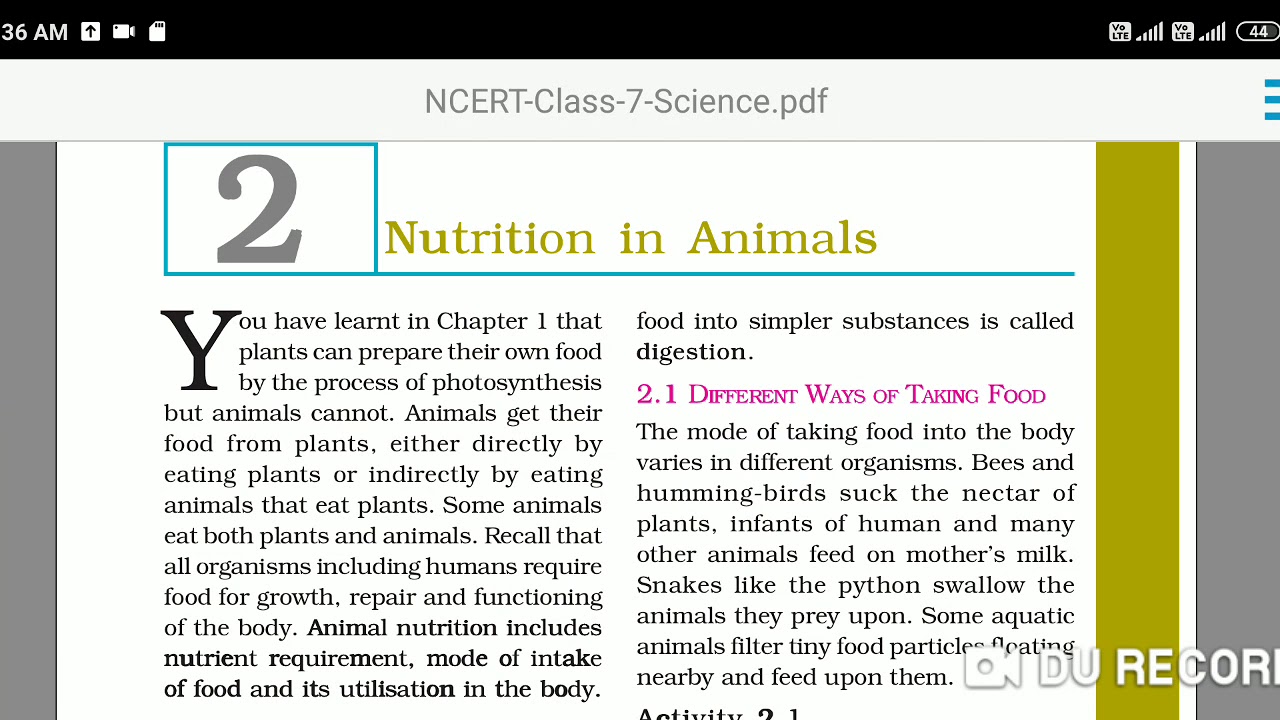 Nutrition In Animals Part - 2 Class 7 Science - YouTube