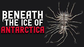 "Beneath The Ice of Antarctica" Scary Stories Found on The Internet | Creepypasta