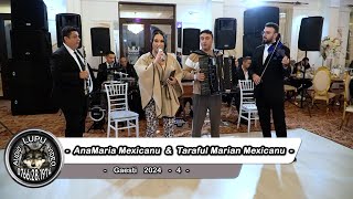 Taraful Marian Mexicanu & Ana Maria Mexicanu - Program de nunta la Gaesti 2024