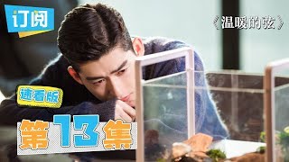 《温暖的弦速看版》第13集：薄一心坦白过错，温暖对南弦失望【观达影视官方频道】