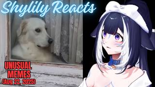 Shylily Reacts to Unusual Memes V334 (Aug 22, 2025)