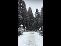 日本紀行_高野山 奥の院 2018 02 04