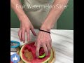 THIN Set of 2 Watermelon Slicer, Creative Ice Cream Popsicle Shapes Fruit Slicer Melon Cutter YID