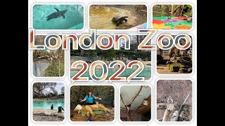 LondonZOO｜倫敦好去處｜移民輕旅行｜英國旅行｜