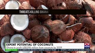 Export Potential of Coconuts: Ghana to profit US$298 million from coconuts by 2029 (9-11-20)