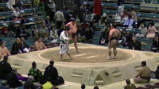 鳰の湖-高春日/2017.3.23(13)/nionoumi-takakasuga/day12 #sumo