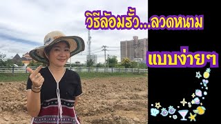 วิธีล้อมรั้วลวดหนาม | Ivy ying sang