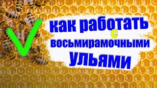 Теория и практика работы с восьмирамочными  ульями, как расширять и доставлять корпуса