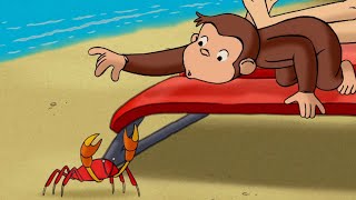 Curious George - ハワイに行こう！| WildBrain