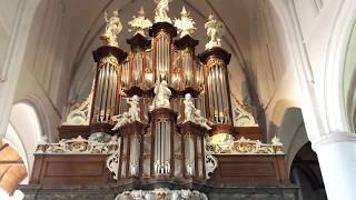 Bede Psalm 6 (D. Slagman). Dick Slagman bespeelt het Hinsz-orgel in de Martinikerk Bolsward.