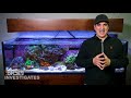 ep1 how we setup a simple and stable reef tank the brs wwc system