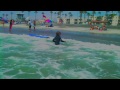 surfing san diego