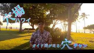 穴場ハワイ/第１弾\