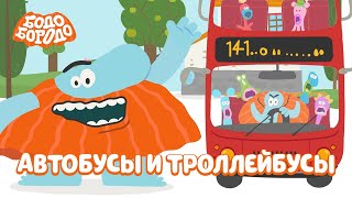 Считаем автобусы и троллейбусы - Бодо Бородо | мультфильмы для детей 0+