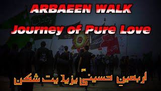 Arbaeen Walk 2020 | Journey of Pure Love with Hamed Zamani Noha |